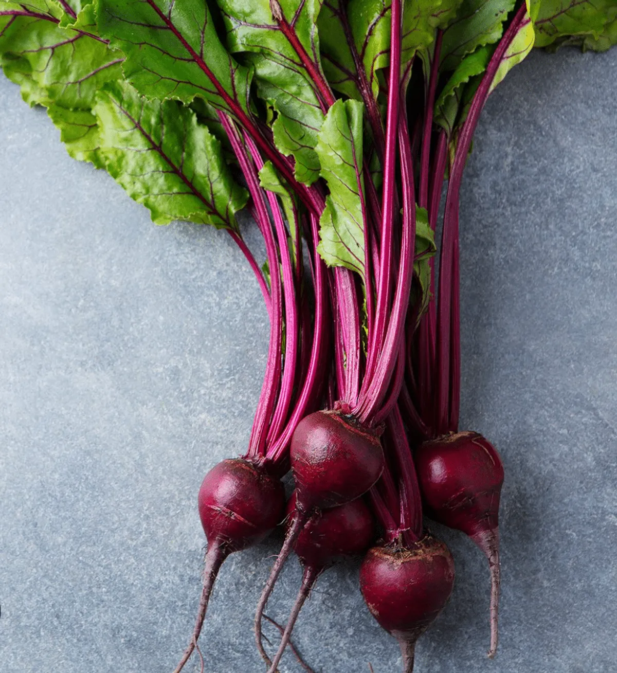 Beet Salad at The Feast Restaurant is 1 Word: Vibrant