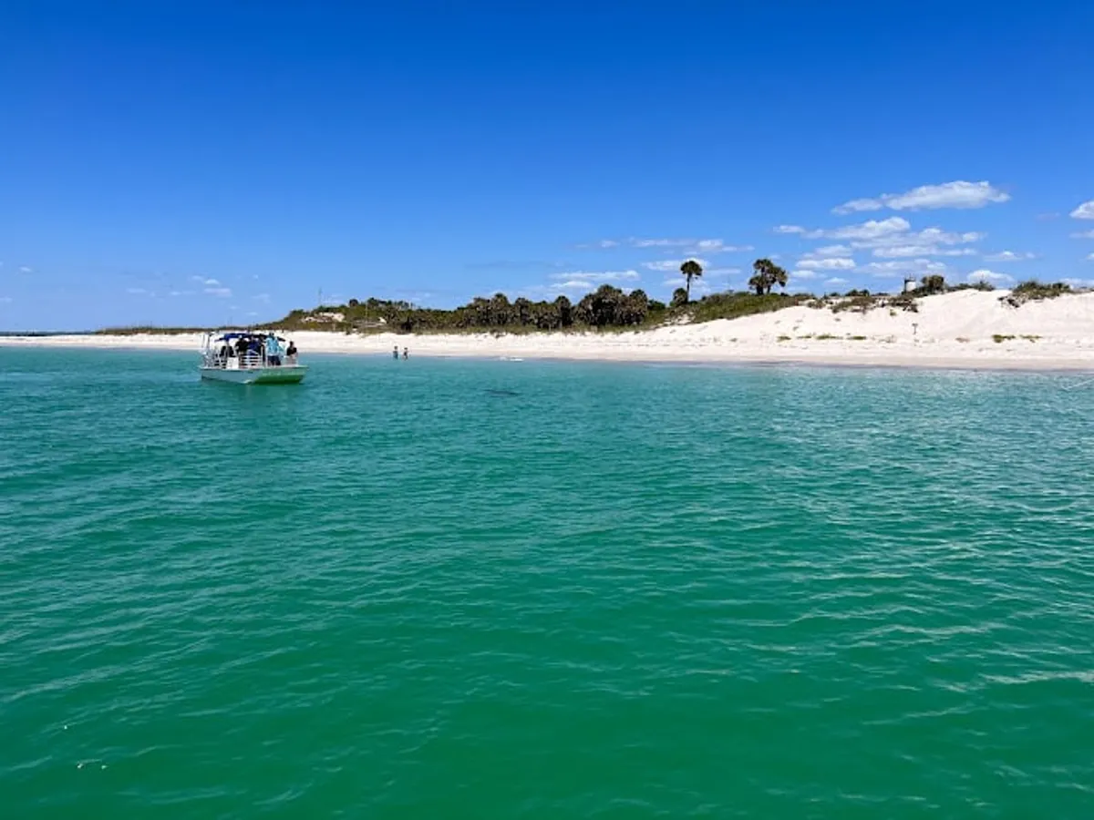 Dolphin Tours and Water Excursions: Dive into Flavor: The Feast’s Seafood Extravaganza