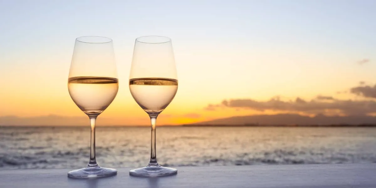 things to do on Anna Maria chilean white wine natural at The Feast Restaurant chardonnay