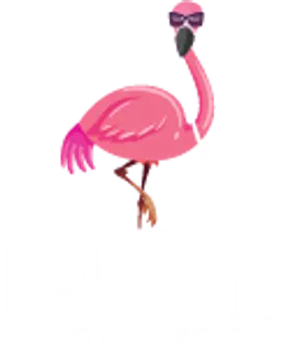 Flamingo Photographers