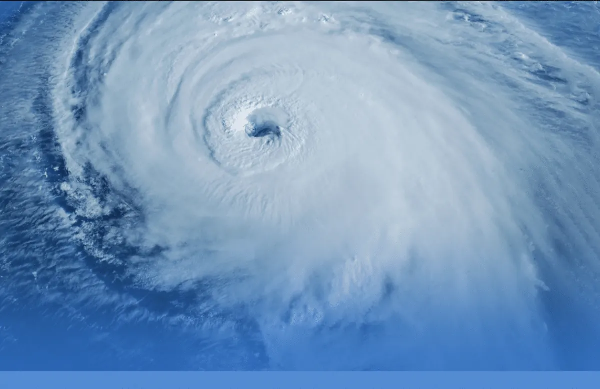 Hurricane Milton Anna Maria: The Devastating Impact on The Feast Restaurant